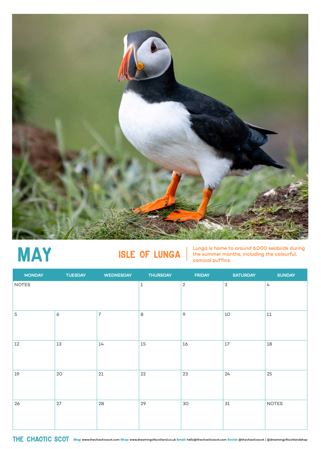 Dreaming of Scotland 2025 Wall Calendar